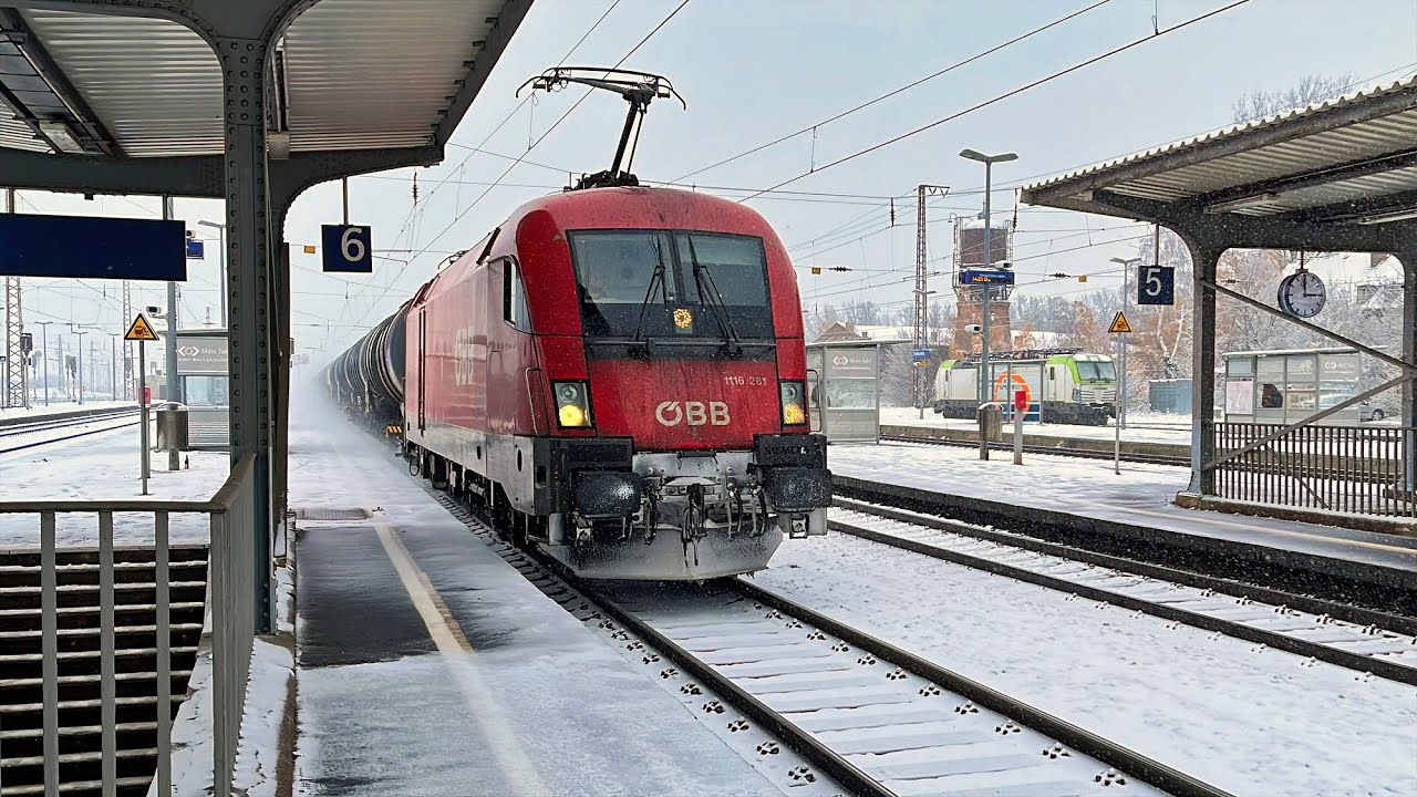 Bahnverkehr Großkorbetha & Umgebung / November 2023