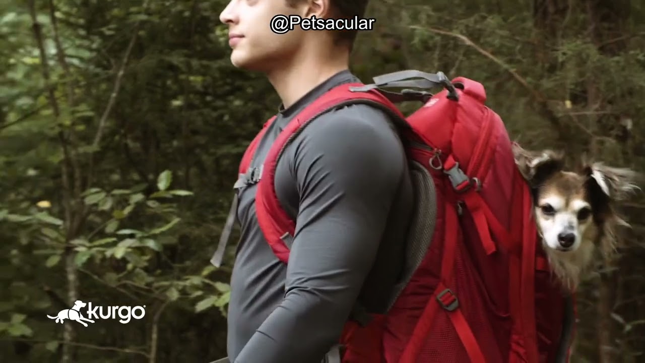 Kurgo G-Train Dog Carrier Backpack Review: Is It Worth Your Small Pet&rsquo;s Next Adventure?