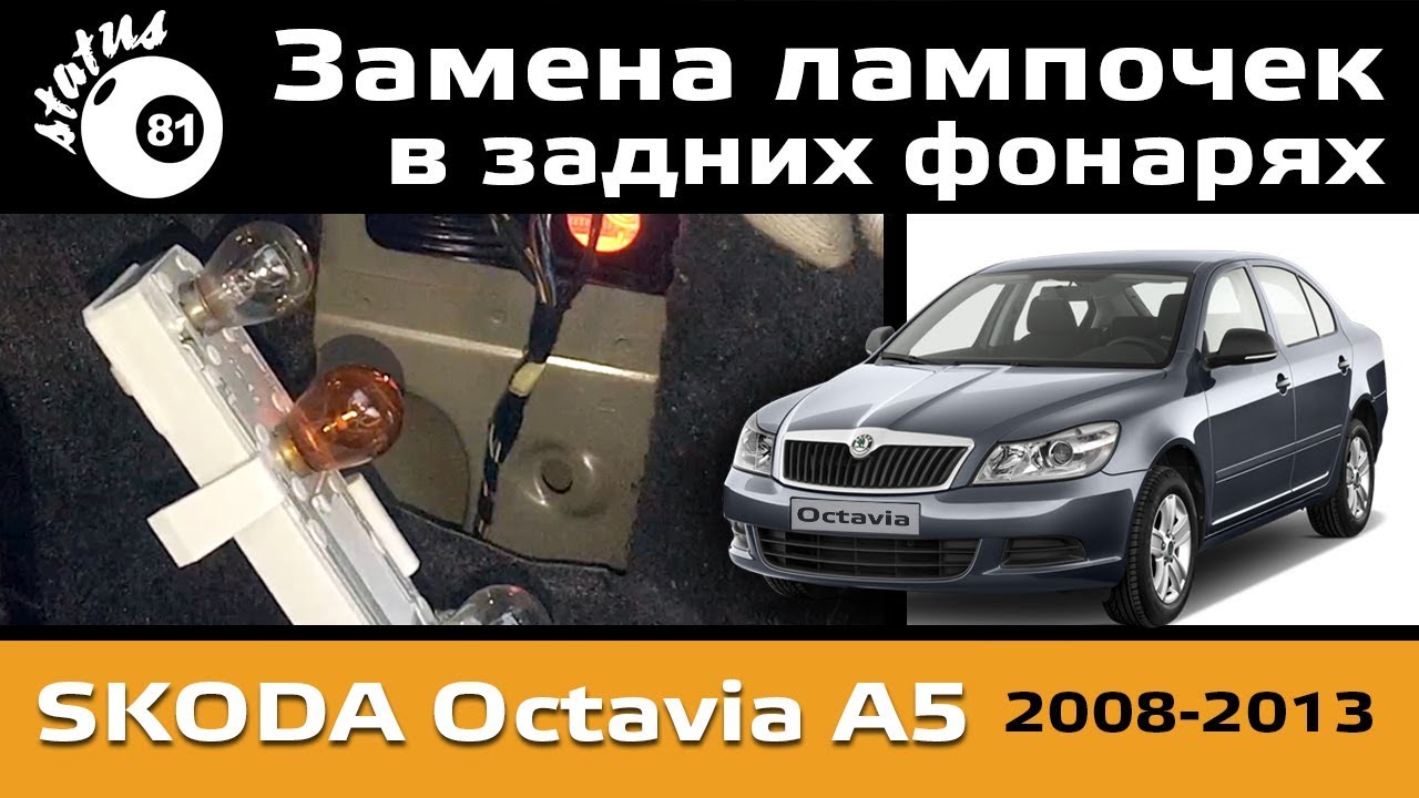 Замена лампочек в заднем фонаре Шкода Октавия А5 / Шкода замена лампочек / Фонари Шкода Октавия