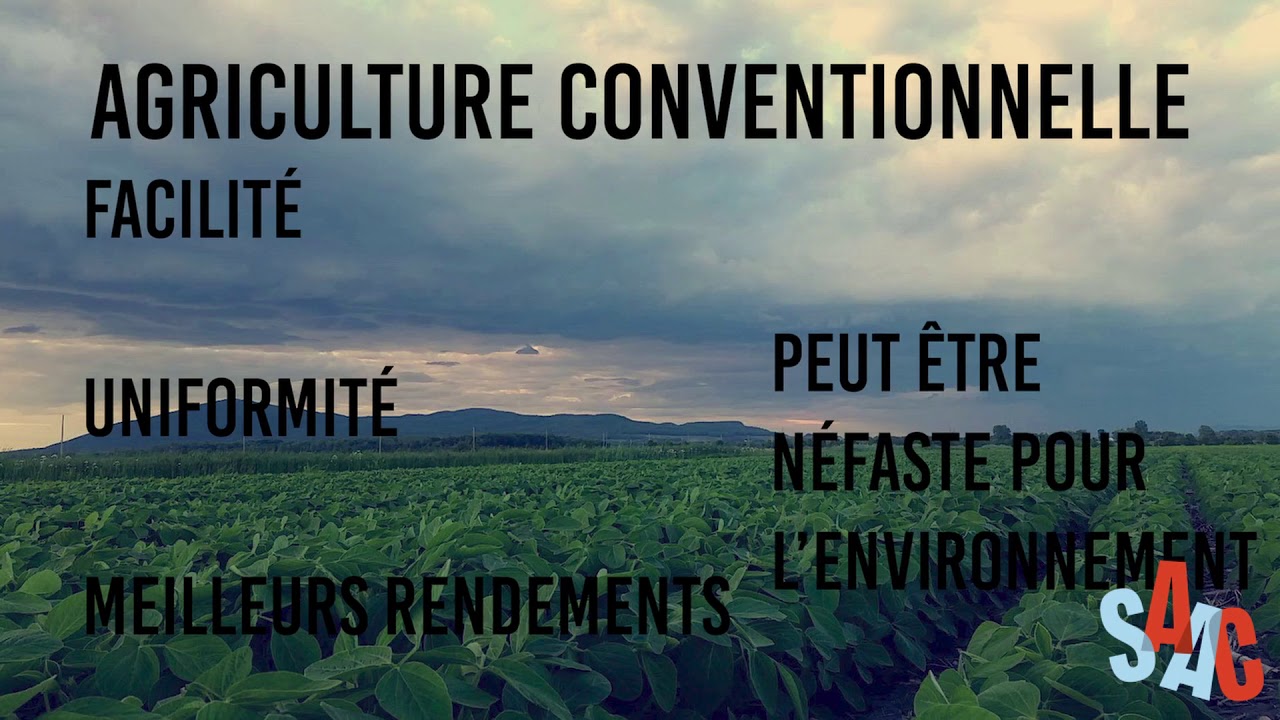 Les grandes cultures
