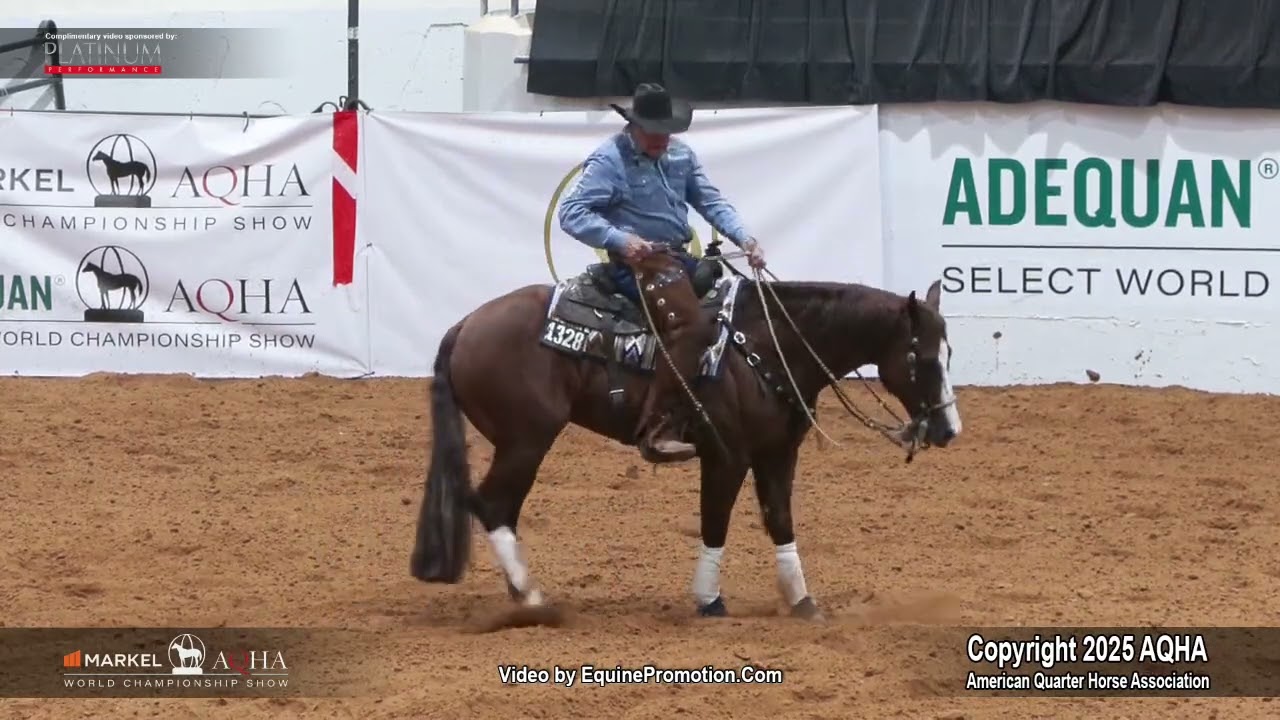 2025 Senior Working Cow Horse World Champion
