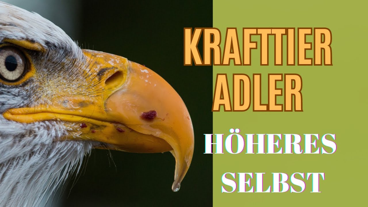 Schamanisches Krafttier ADLER