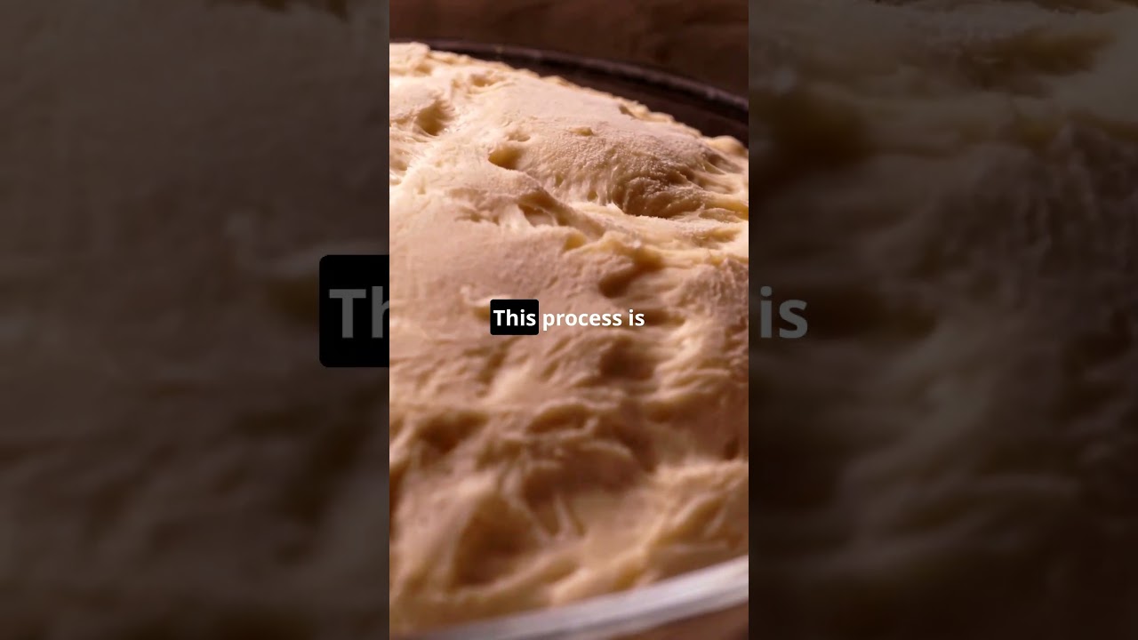 The Science Behind Bread Baking 🍞🔬 #bread #baking #foodscience #scienceexperiment