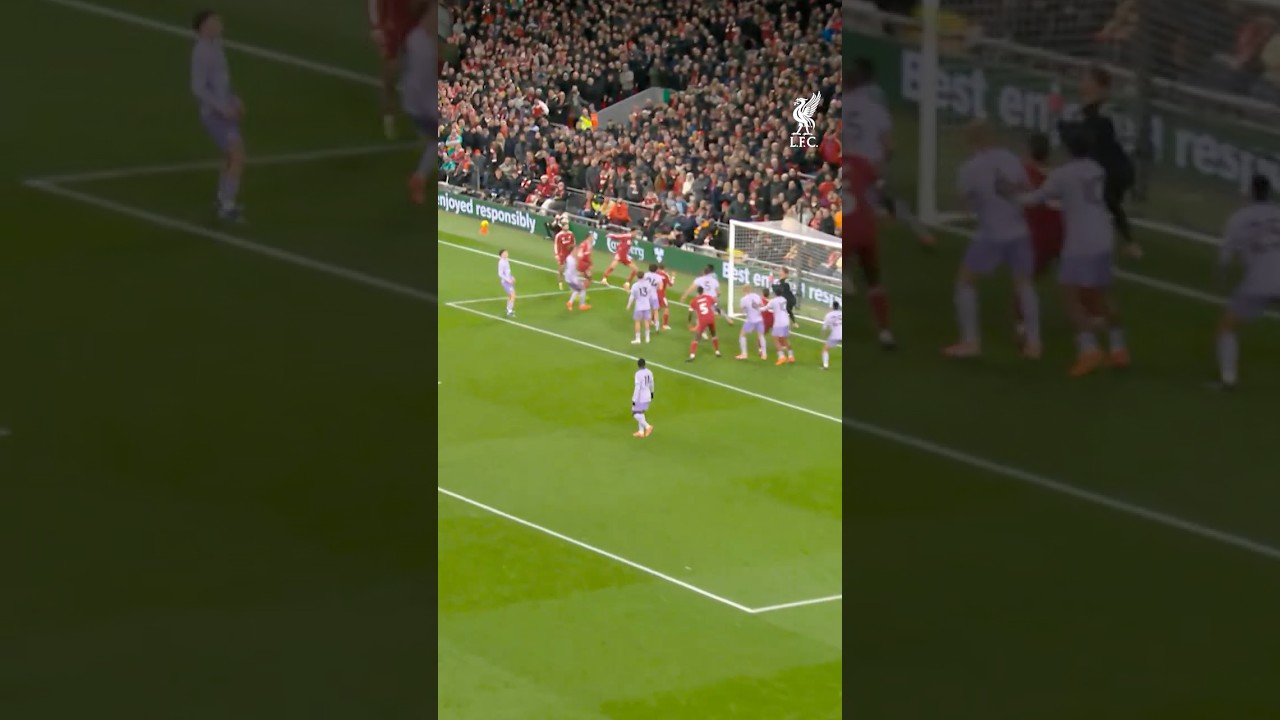 SOCIAL 916 BUG EKITIKE GOAL 2 LIVBHA 131225