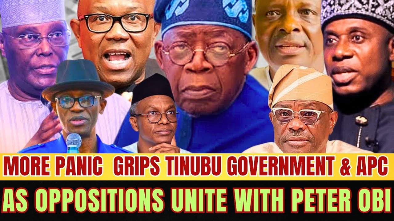 2027 Election: Nigerians Speak on Peter Obi&rsquo;s Chances in ADC Presidential Race