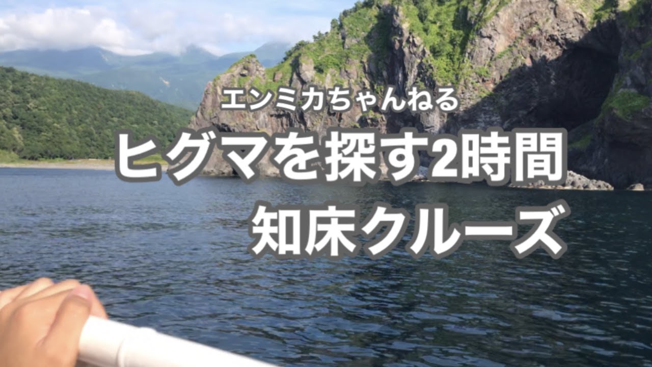 北海道で知床観光をするならまずはコレ！ヒグマを探す2時間のクルーズ｜世界遺産知床