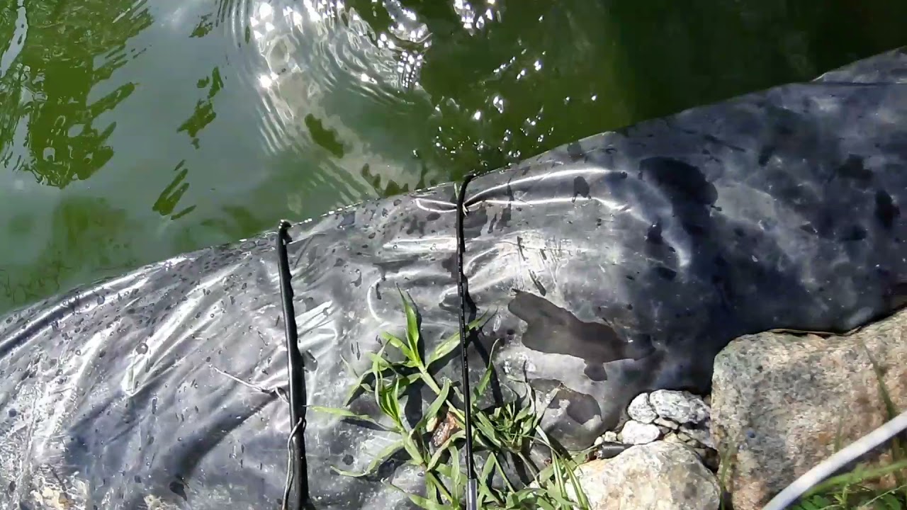 DIY pam kolam ikan guna solar panel /