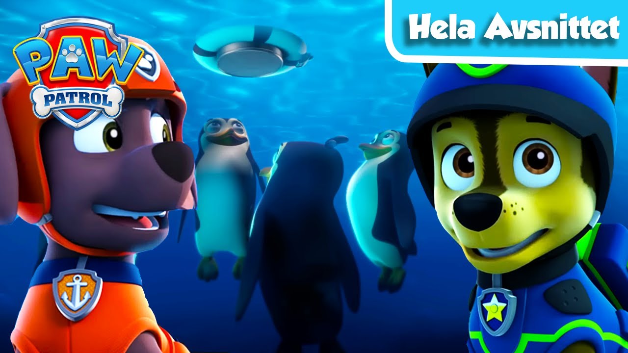 Valparna r&auml;ddar pingvinerna | Hela avsnittet | PAW Patrol | P&aring; Svenska