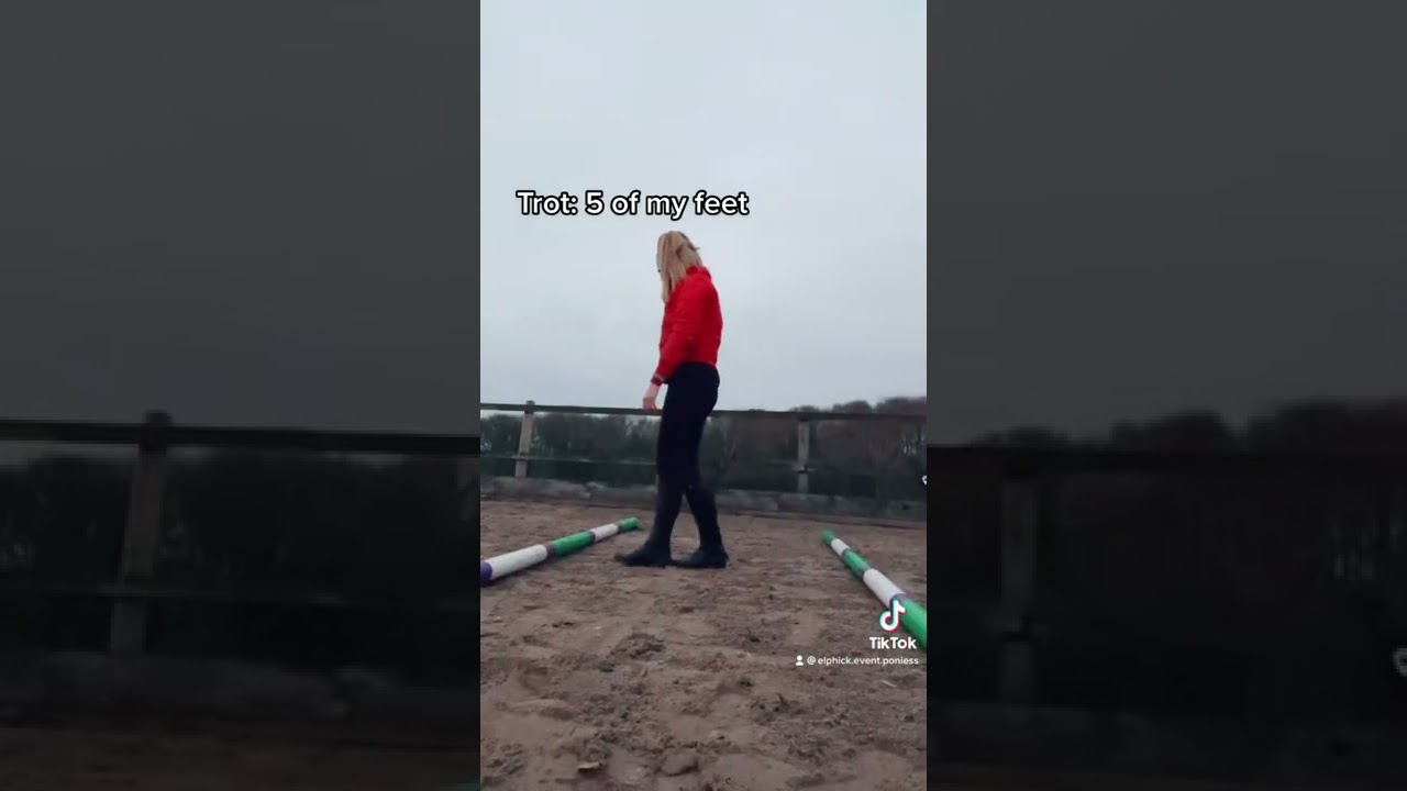 How to set up polework for horses
