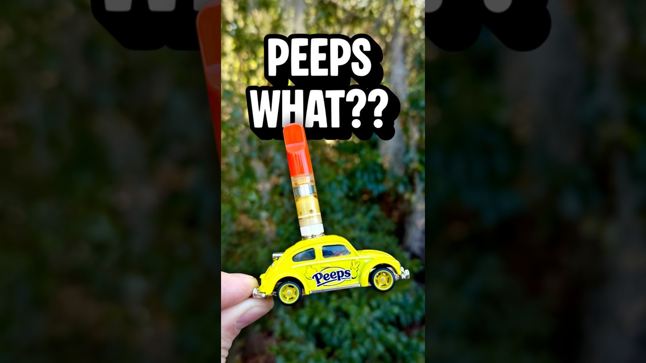 Я превратил Volkswagen Beetle 1960-х годов в пенал из конфет Peeps 🐣😂 | Функциональное искусство,...