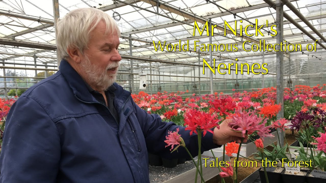 The Strange Coincidence that created a World Famous Plant Collection