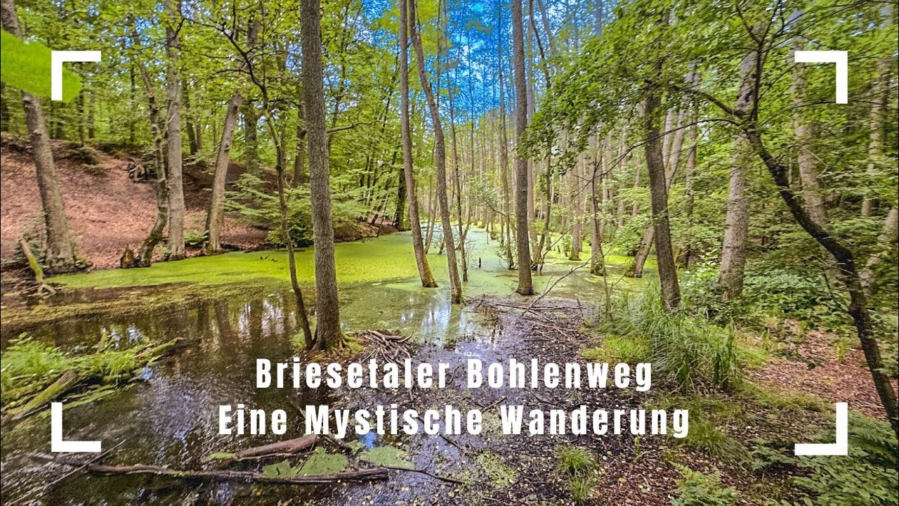 Nach Feierabend: Briesetaler Bohlenweg, eine mystische Wanderung