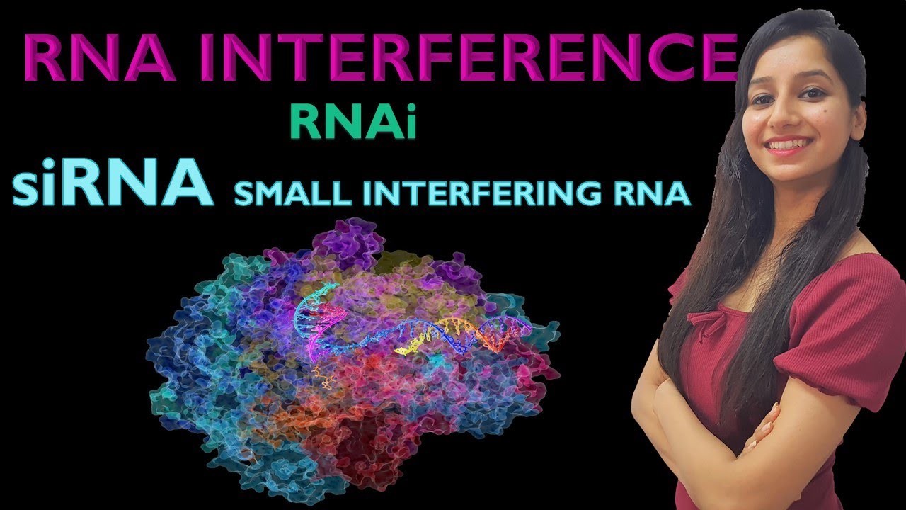 RNA Interference I RNAi I siRNA I Small Interfering RNA I Post Transcriptional Mechanism