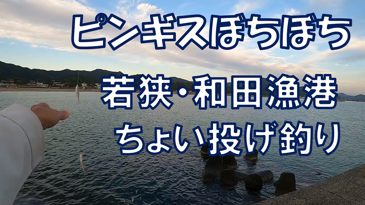 ピンギス・すぐに食べる分ぐらい＠若狭・和田漁港でちょい投げ釣り