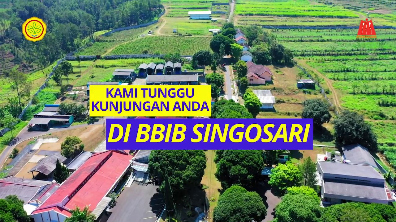 Road to BBIB Singosari
