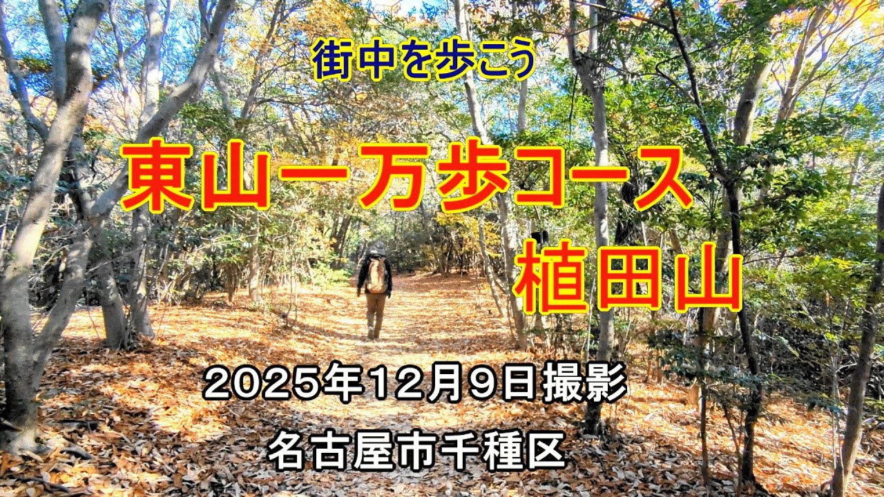東山一万歩コース・植田山を歩いてきました　ナオユミのハイキングに行こう