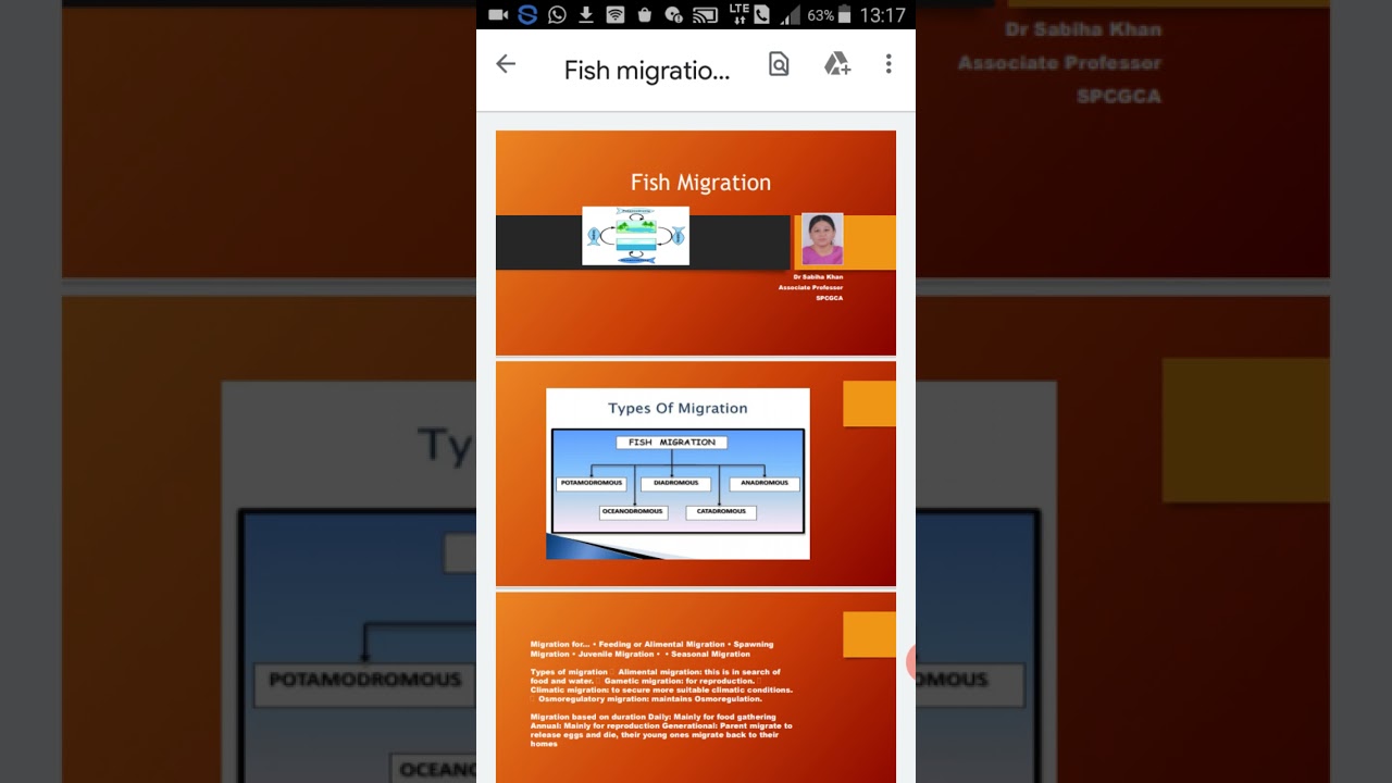Fish Migration