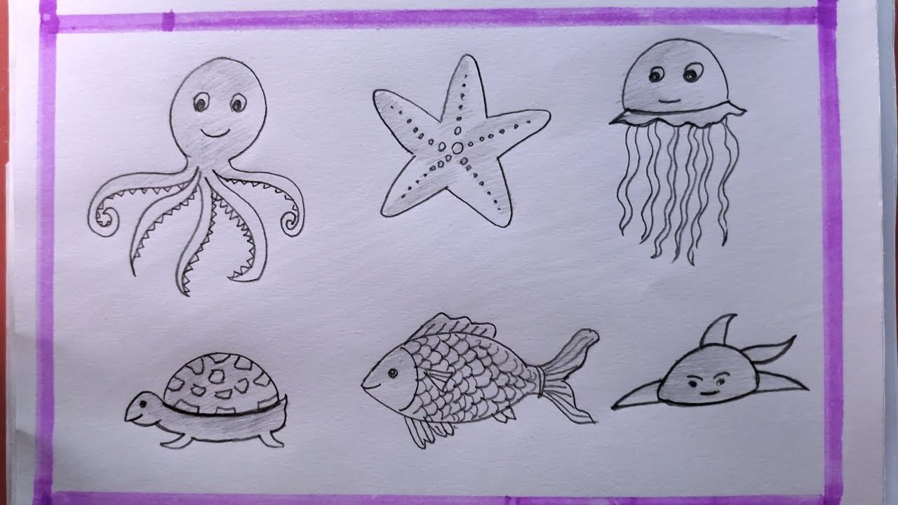 How To Draw Water Animals/Drawing Easy Sea Animals
