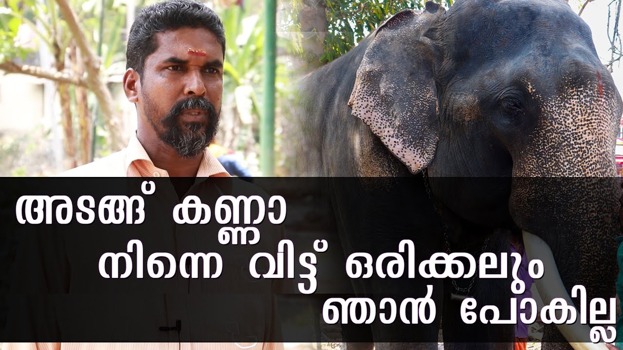 Gajarajan | ഒടുവിൽ ആ കണ്ണീര് സത്യം പറഞ്ഞു | Lemon Media