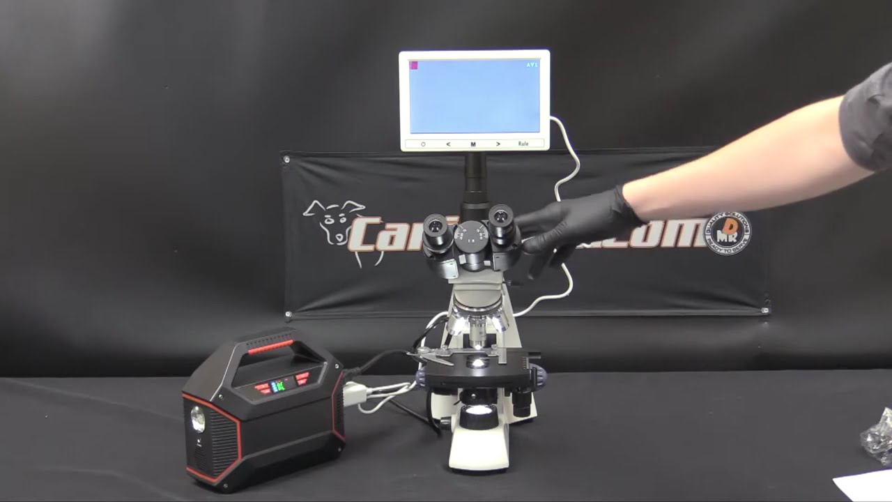 How to use a microscope for dog semen analysis | Microscope Training Series