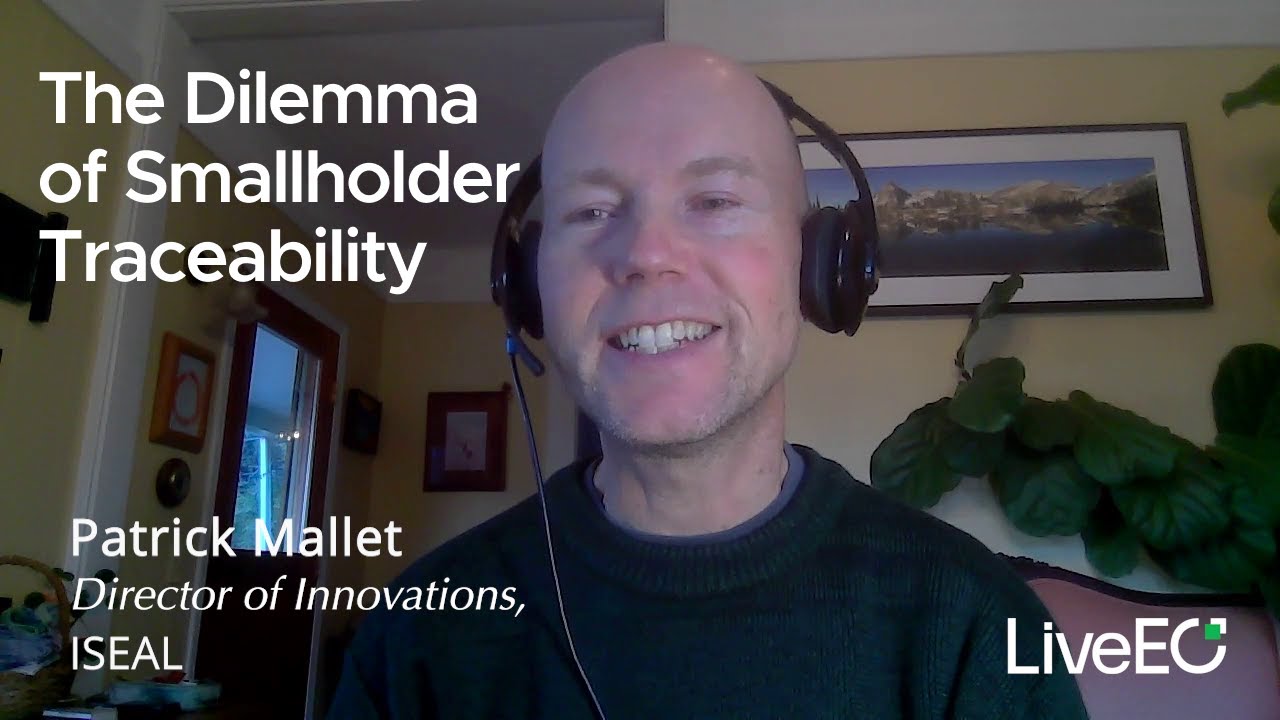 Managing Traceability: EU Deforestation Regulation and Certification Challenges