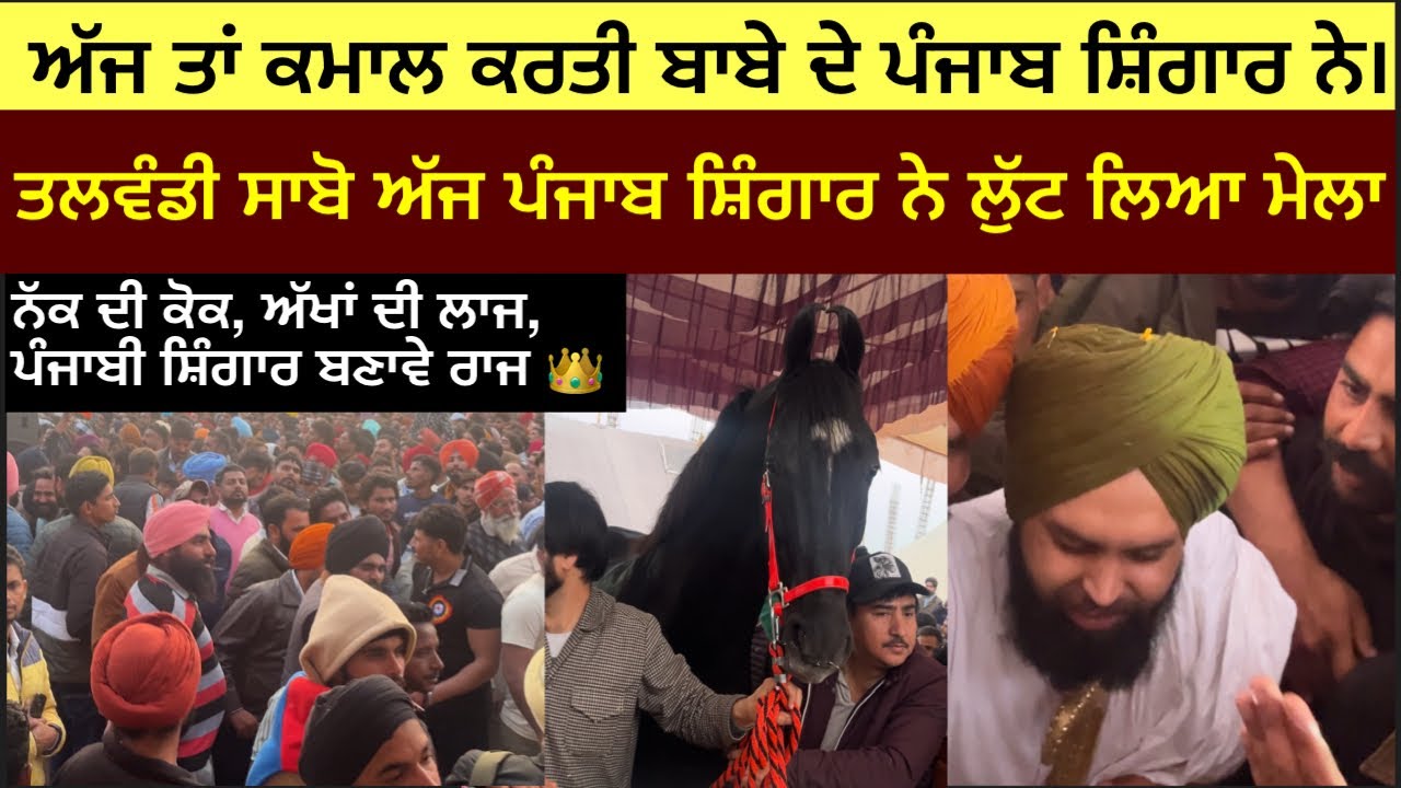 ਨੱਕ ਦੀ ਕੋਕ,ਅੱਖਾਂ ਦੀ ਲਾਜ,ਪੰਜਾਬੀ ਸ਼ਿੰਗਾਰ ਬਣਾਵੇ ਰਾਜ 👑 ਪੰਜਾਬ ਸ਼ਿੰਗਾਰ ਨੇ ਲੁੱਟ ਲਾਇਆ ਮੇਲਾ ਦੇਖੋ ਵੀਡੀਓ #horse