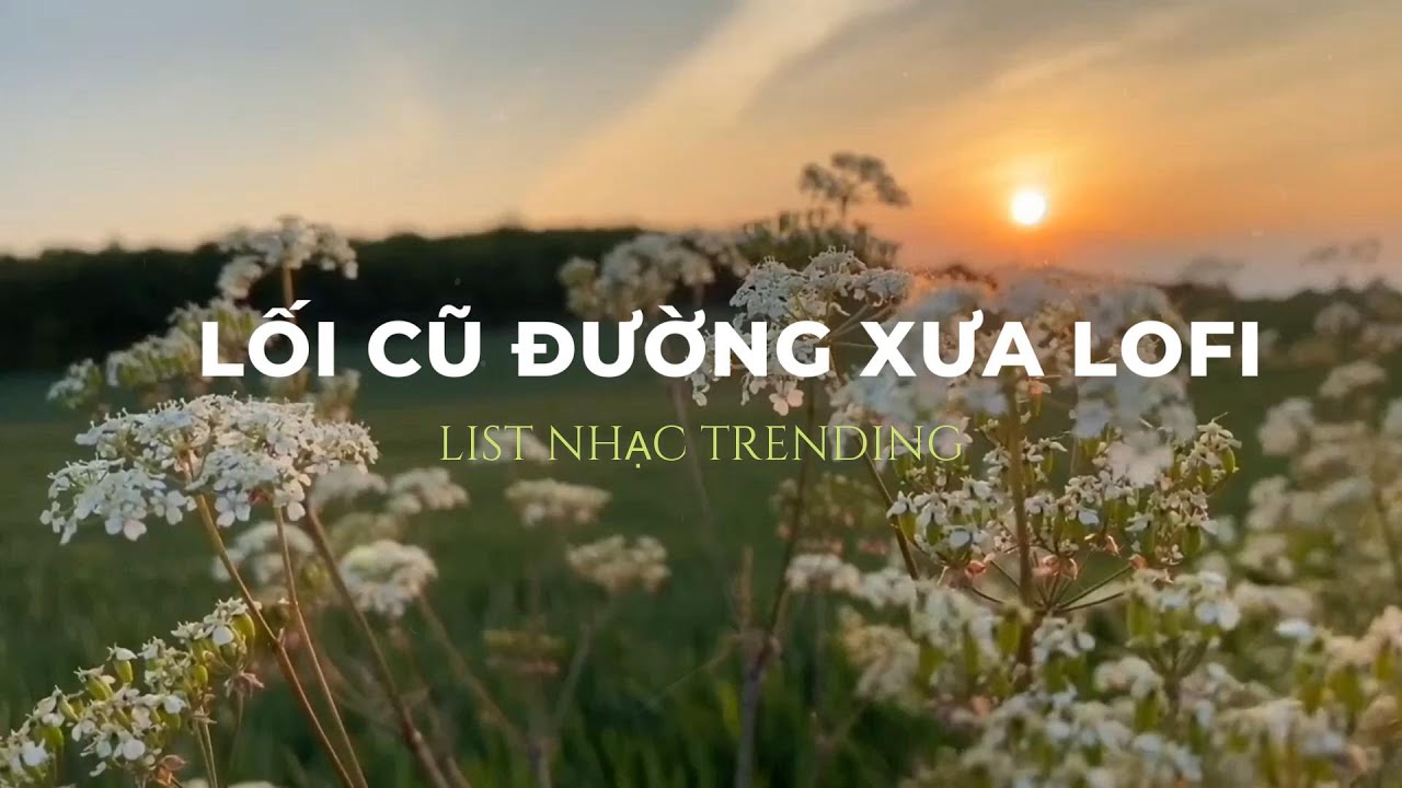 Lối Cũ Đường Xưa Lofi - List Nhạc L&acirc;u Phai Cực Chill Đầu Năm 2026 Tuyển Chọn Của Hộp Nhạc L&acirc;u Phai