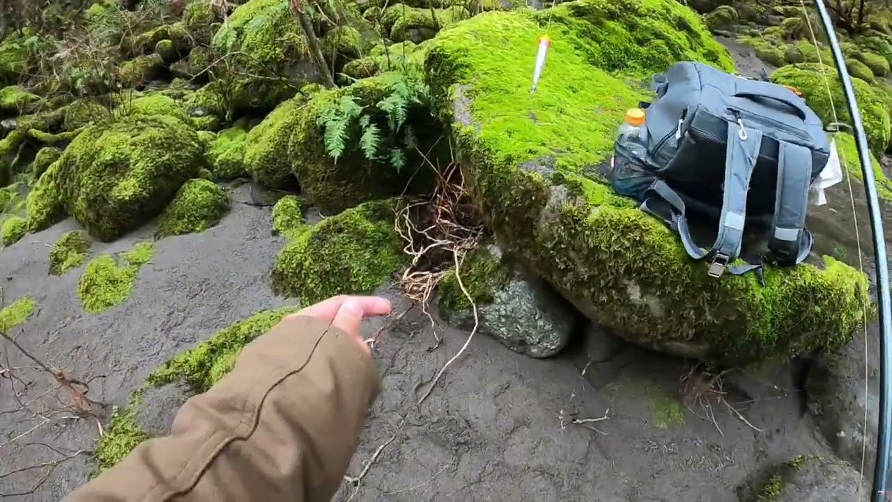 Another big heartbreak winter steelhead fishing Oregon (lost a big one)
