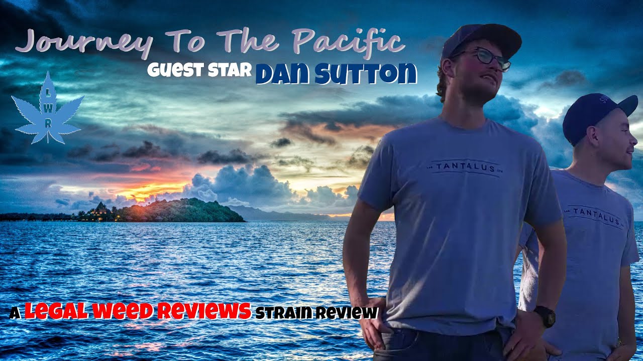 Tantalus PACIFIC OG strain review - (