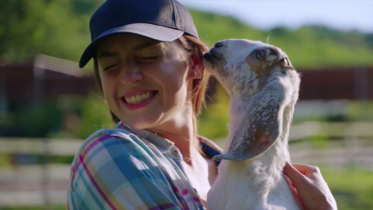 Discover the Animal Science and Management major