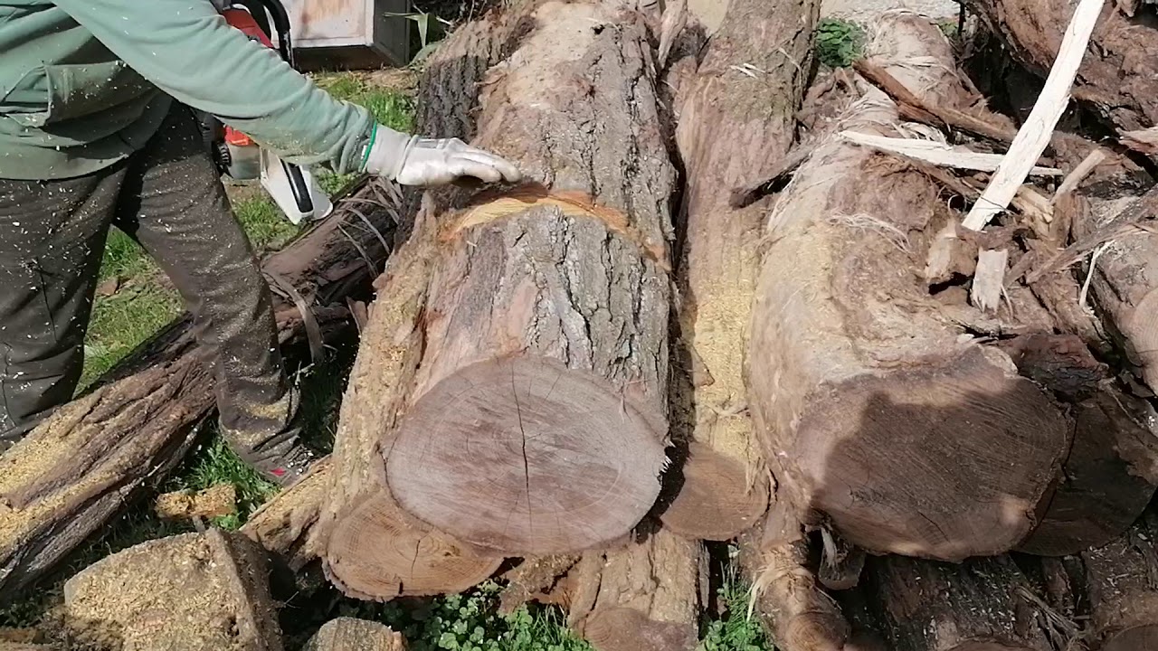 Stihl 064 vágás teszt.