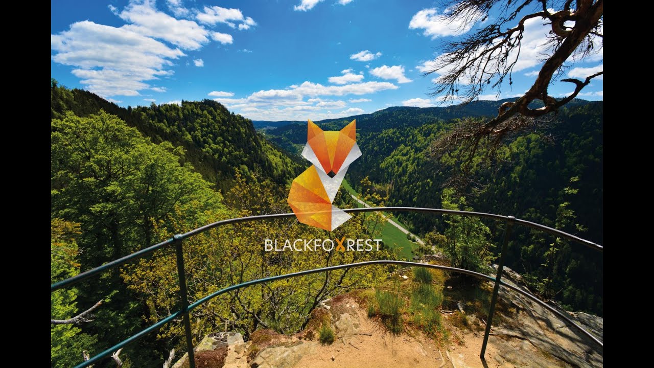 BLACKFOXREST Wanderung Breitnau - Höllental - Weißtannenhöhe