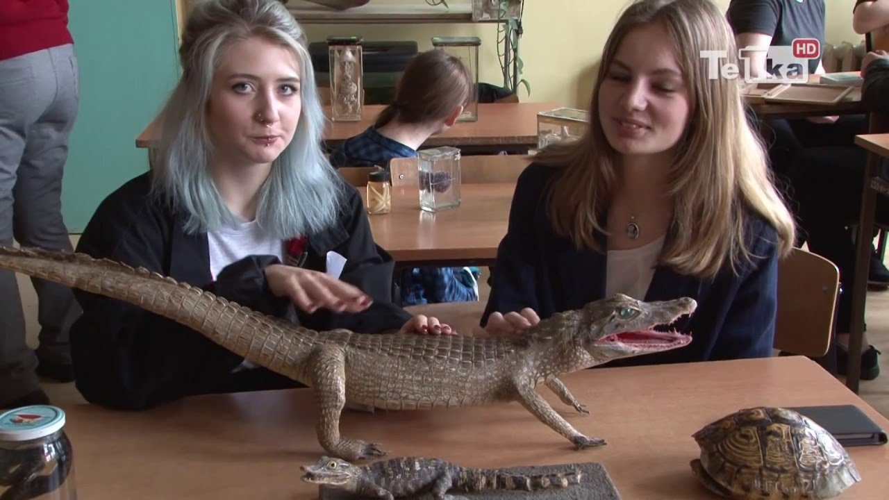 Ogólniak dla uczniów z pasją - Tv Tetka Tczew HD