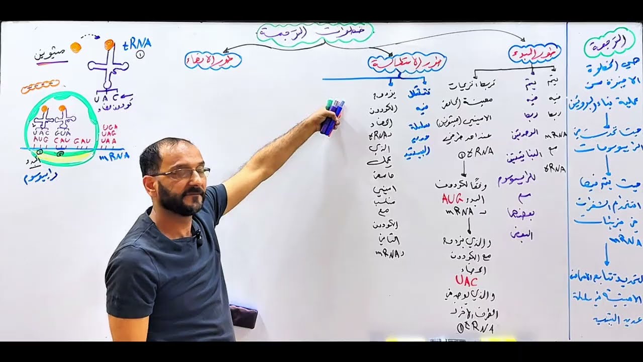 المحاضرة٣١#الترجمة