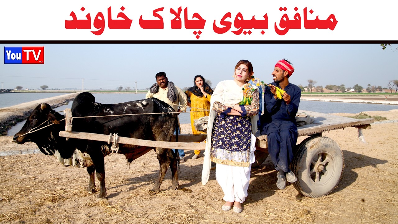 Noor Nazeer Munafiq Bivi Chalak Khawand New Funny Video | Most Comedy Funny Video | You Tv Hd 2026