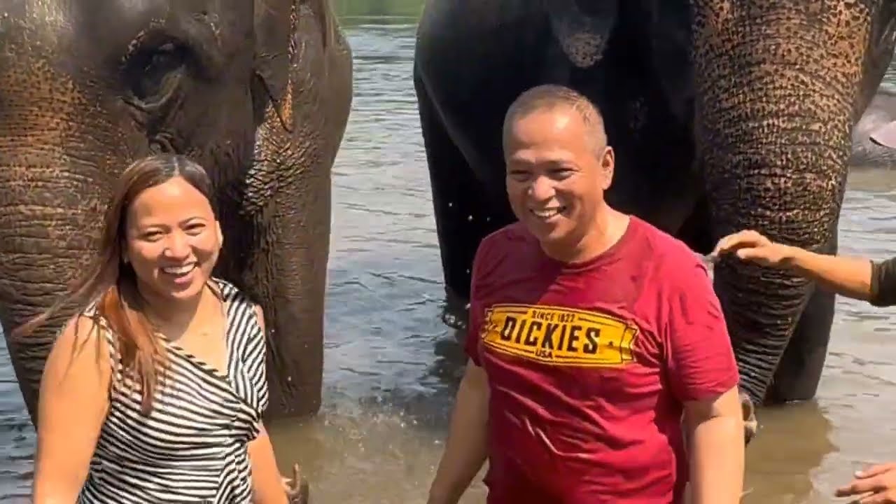 Elephant world kanchanaburi Bangkok Thailand