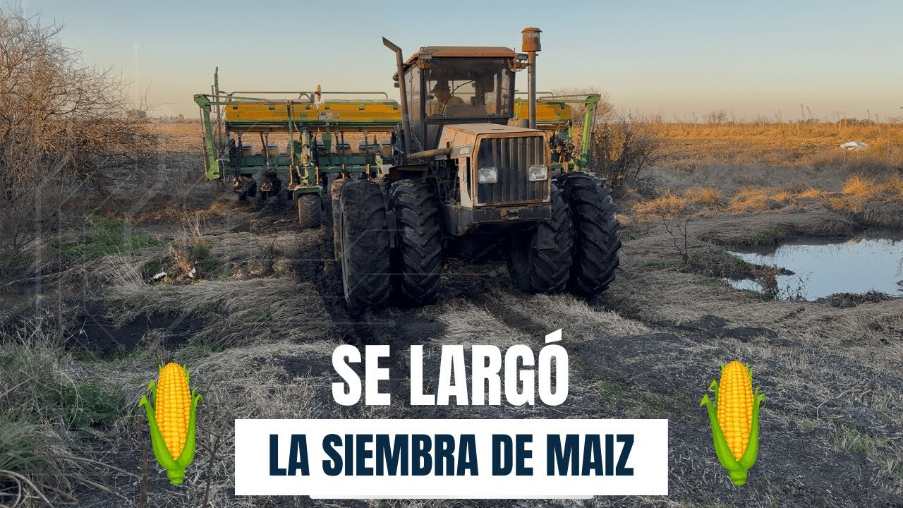 Se LARGÓ la SIEMBRA de MAIZ!!! Preparativos previos y FERTILIZANDO RAIGRAS 