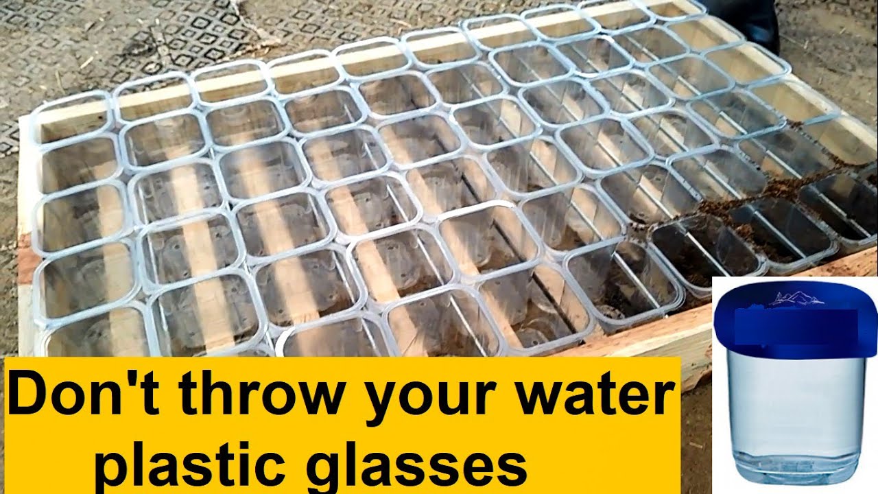 Don't throw your water plastic glasses, homemade trays, 60 pots