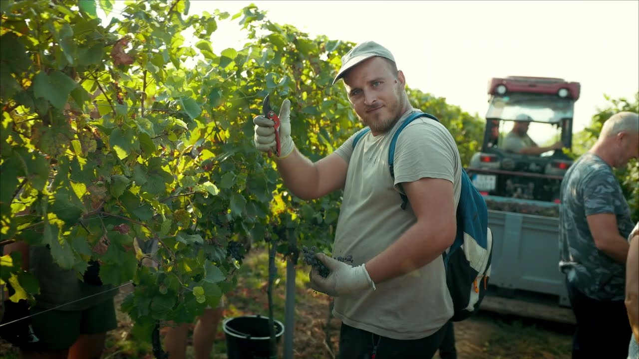 Našli slovenské Toskánsko: Príbeh usadlosti VIAJUR Farná #krizomkrazomvinicami