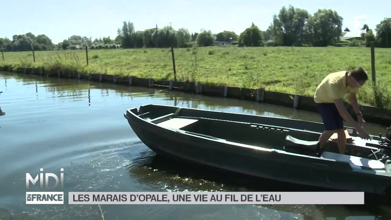 SUIVEZ LE GUIDE : Les marais d'Opale, une vie au fil de l'eau