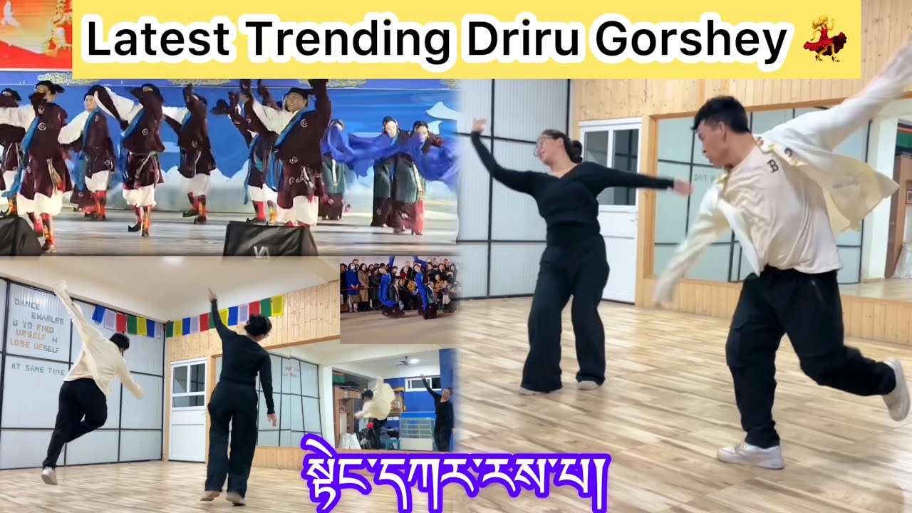 Latest Trending Driru Gorshey སྟེང་དཀར་རས་པ། འབྲི་རུའི་སྒོར་གཞས་གསར་པ། TengKar Reypa #tutorial