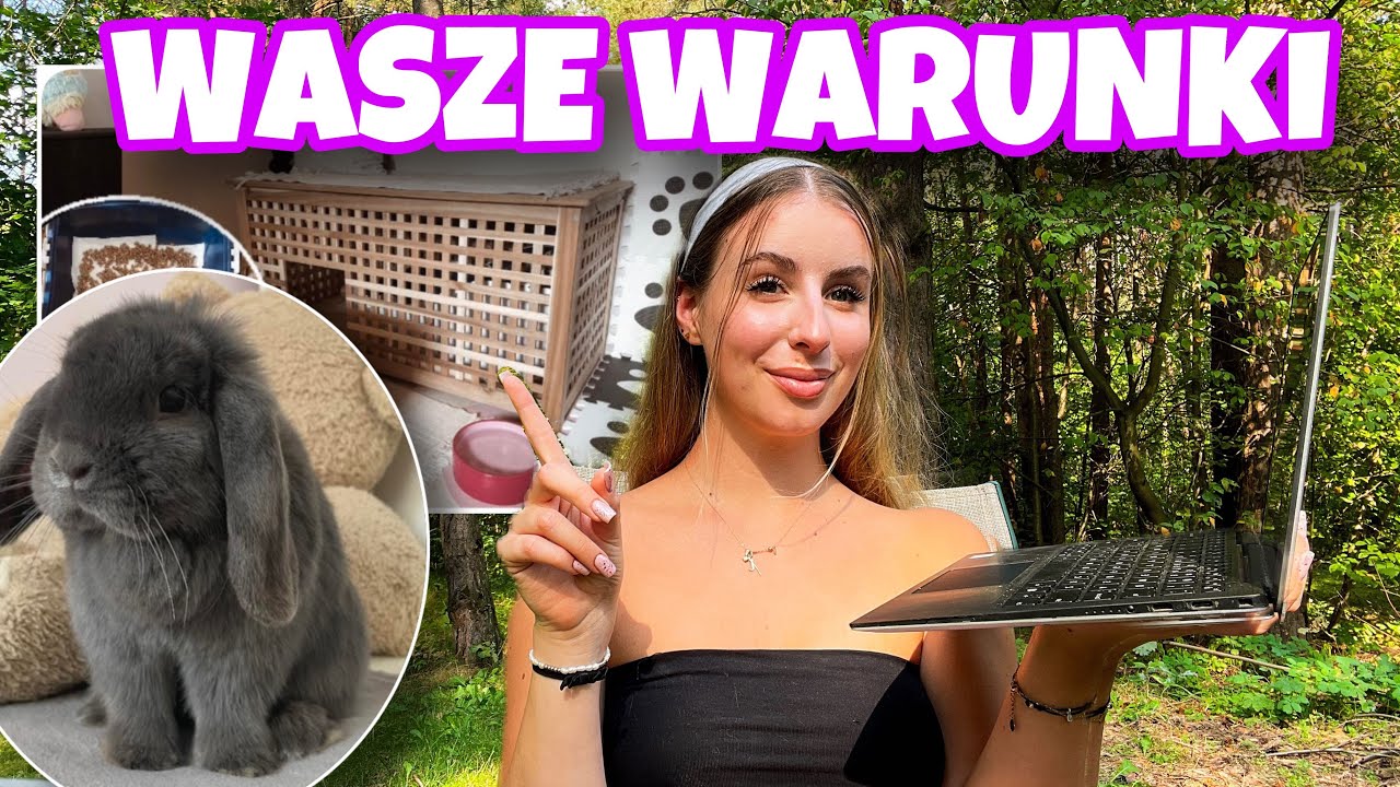 OCENIAM WARUNKI WASZYCH KRÓLIKÓW #6