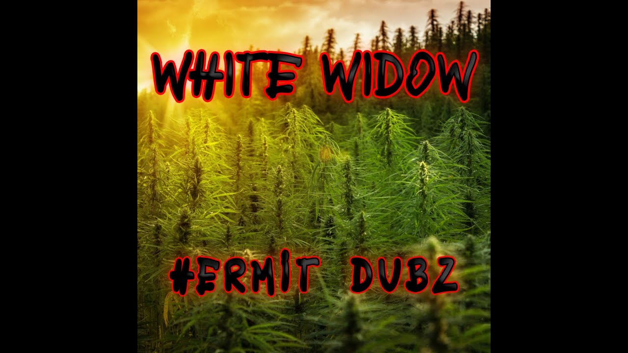 Hermit Dubz- White Widow (UK steppers dub)