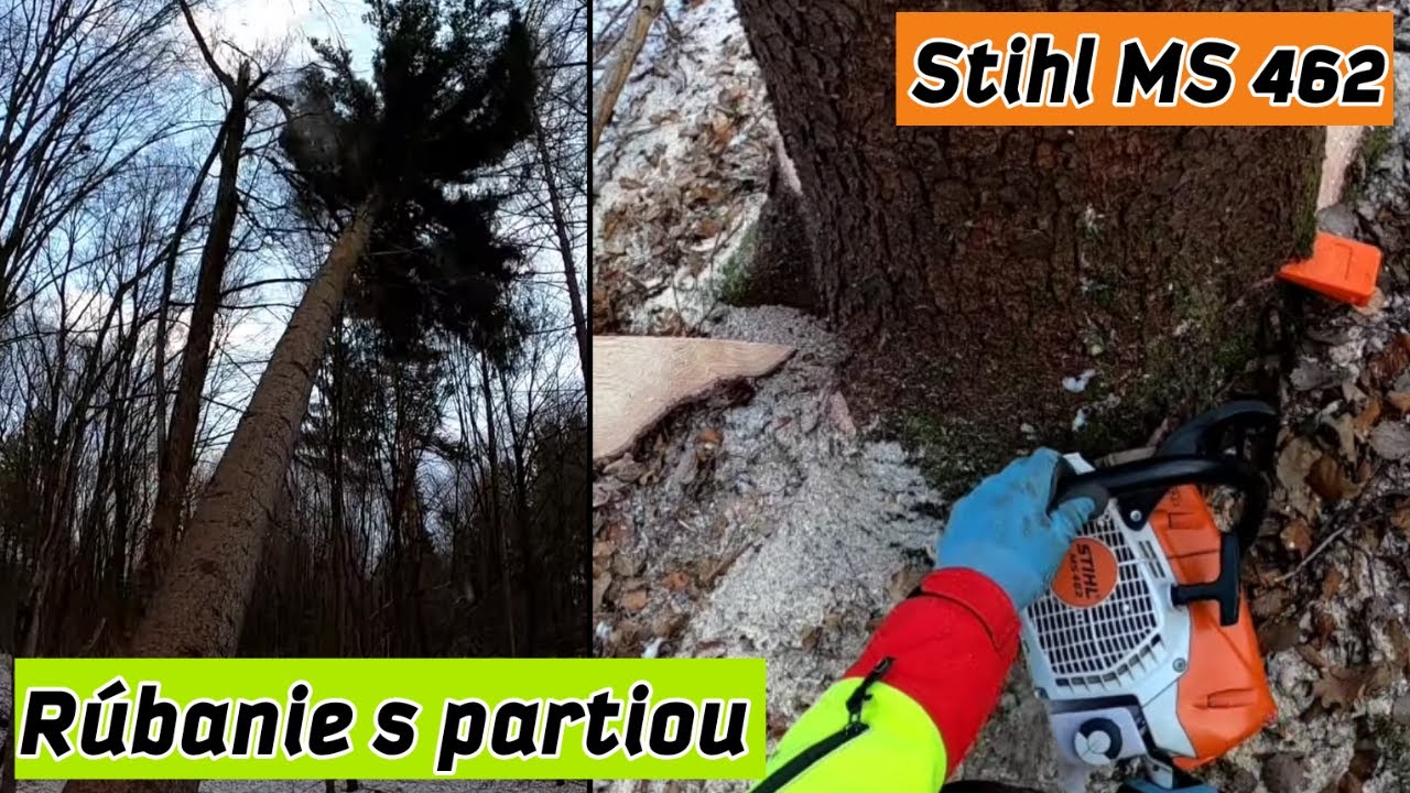 Rúbanie celého vyznačeného porastu 🌲🌳/Stihl MS 500i, Stihl ms 462, Chainsaw,