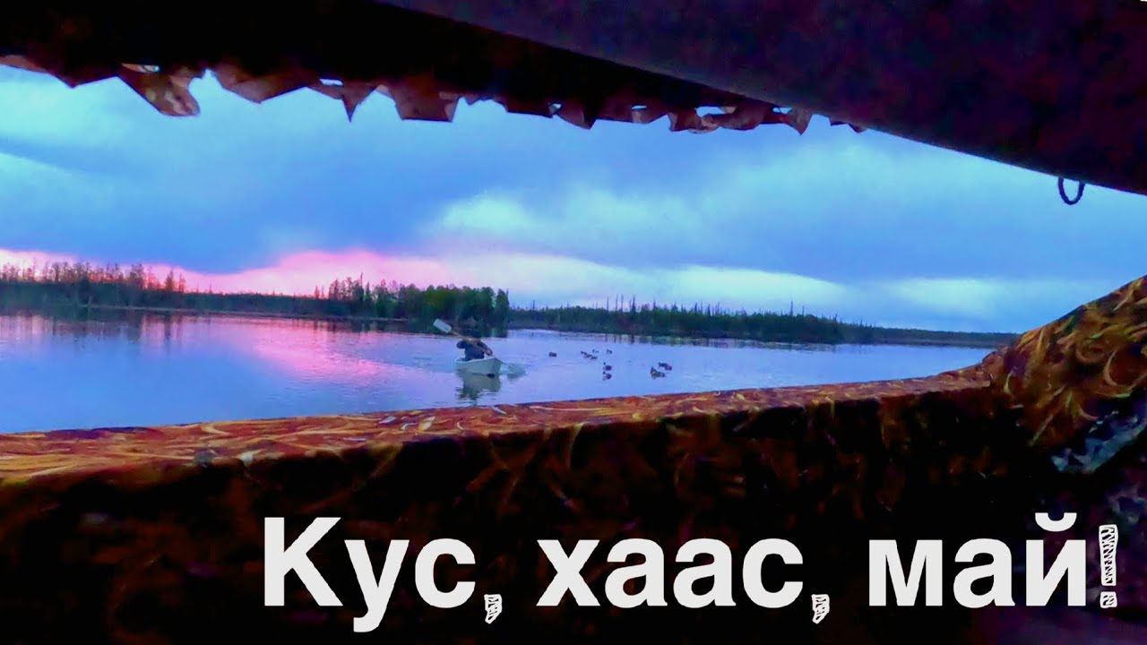 кус-кус-кус