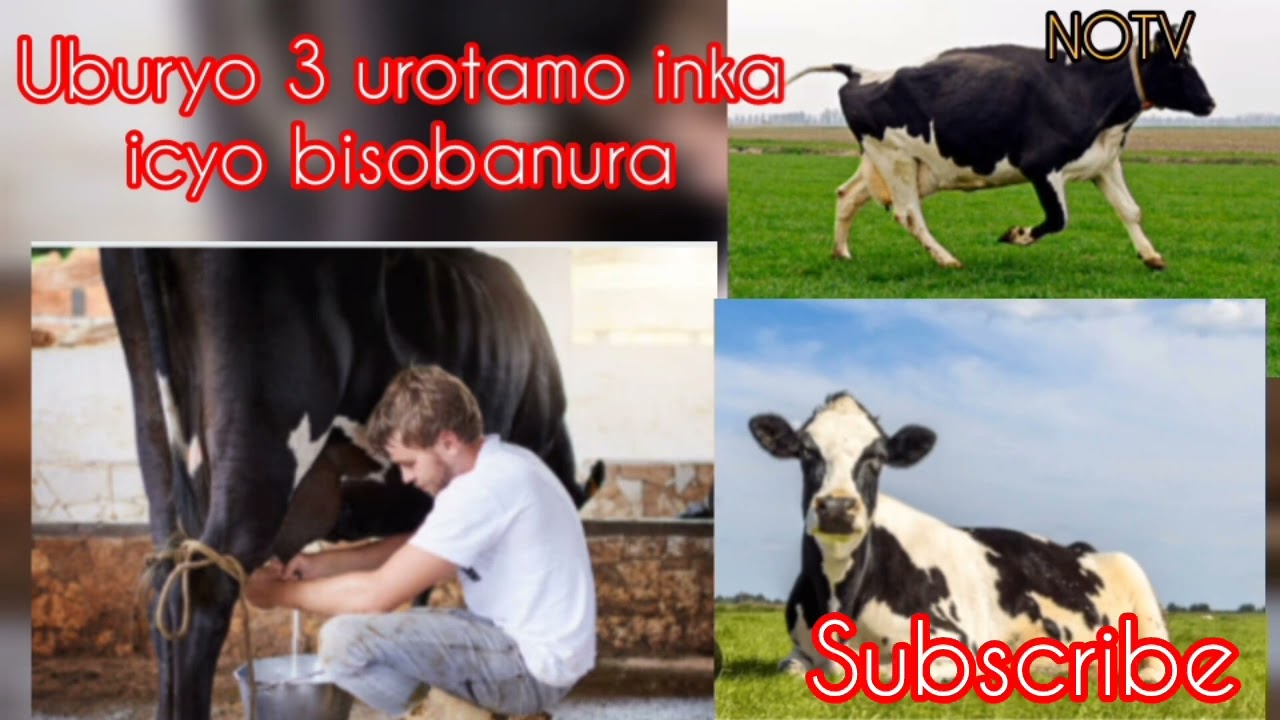 KUROTA INKA MUNZOZI:Ubukire,Uburumbuke, INTAMBARA; Sobanukirwa