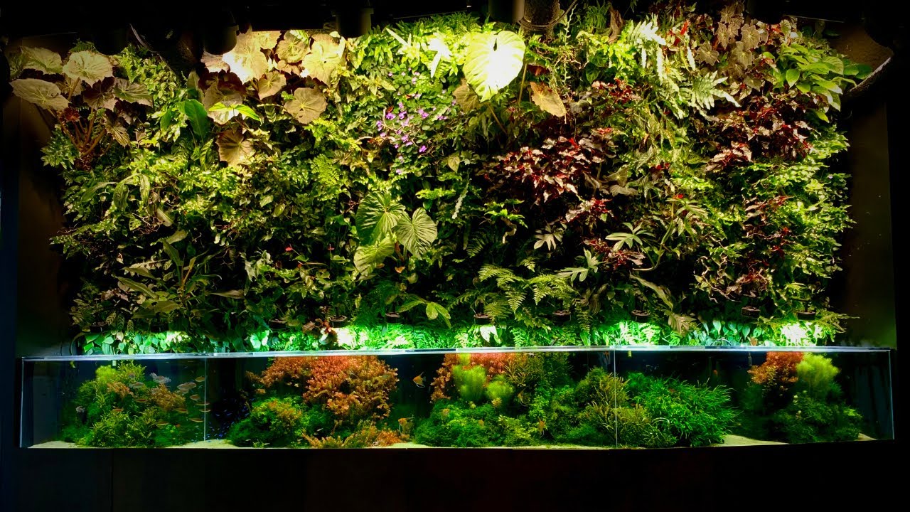 Most Beautiful Planted Aquariums! - Amazon Spheres in-depth Tour