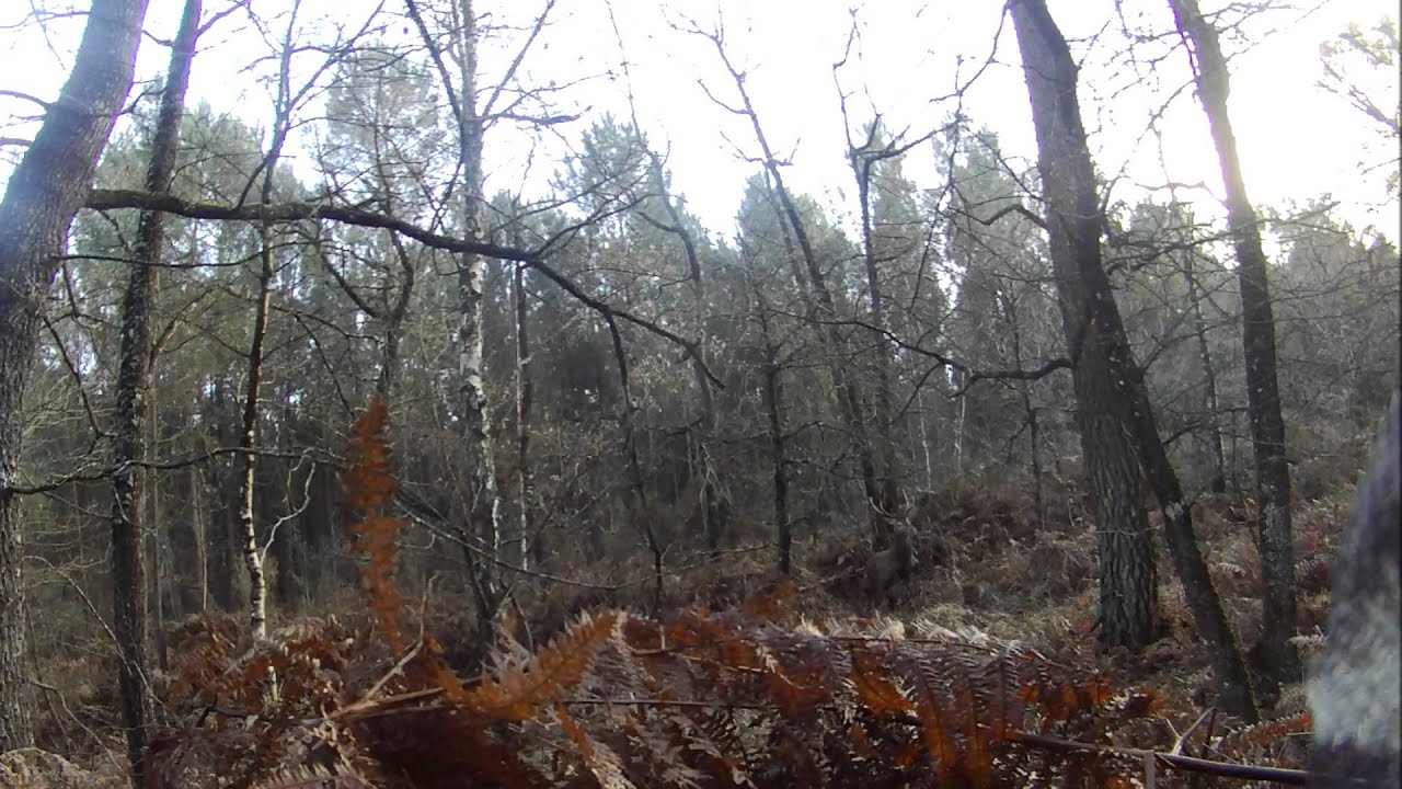 Chasse 2015 Le Cerf Boiteux
