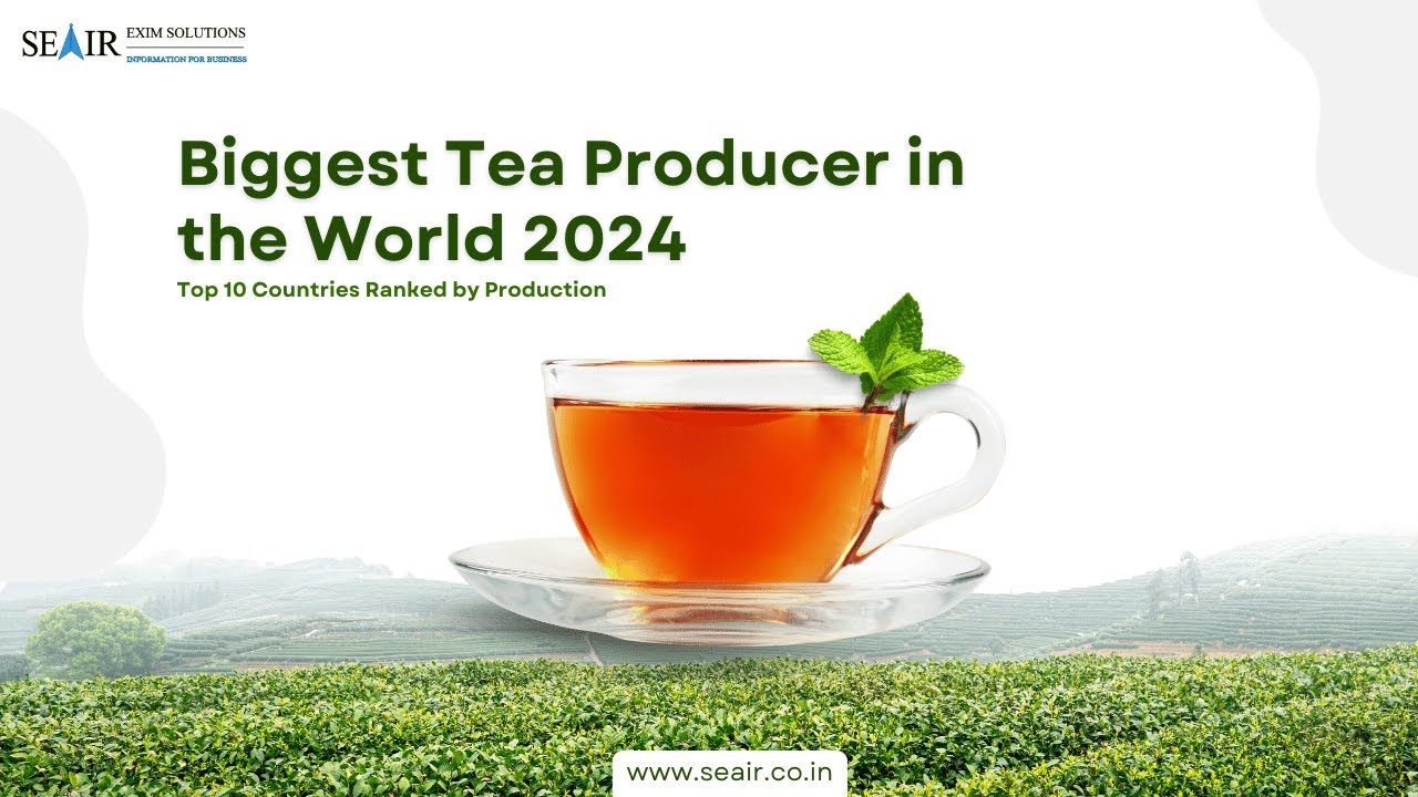 Biggest Tea Producer in the World 2024 Top 10 Countries Ranked by Production