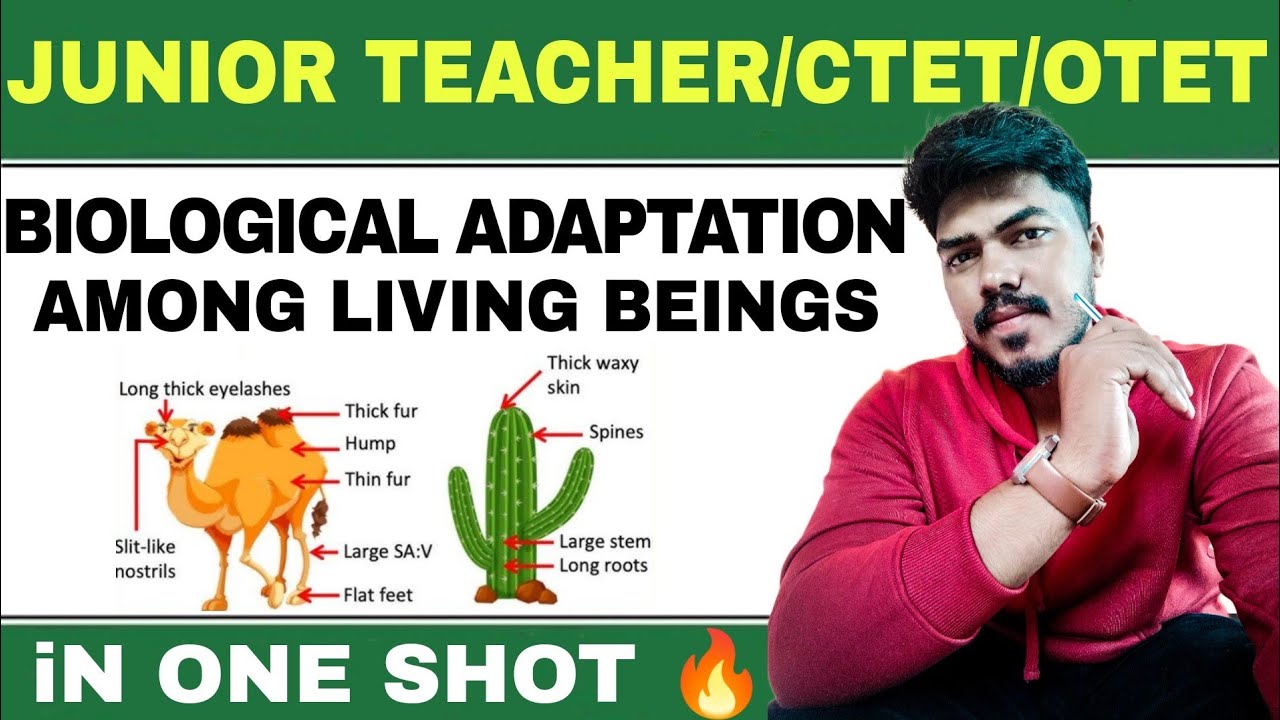 Biological Adaptation among Living beings || Junior Teacher || OTET || CTET || Life Science